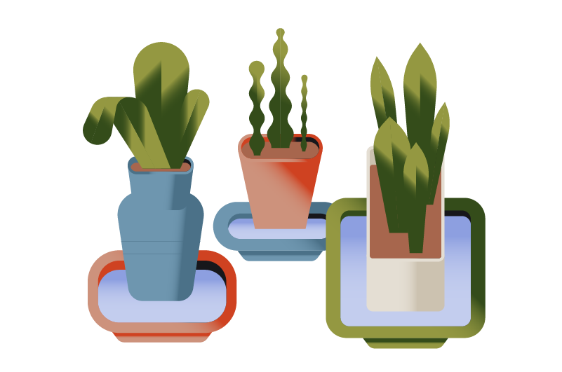 Immagine di sottovasi