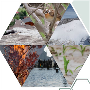 Ultimi aggiornamenti della Piattaforma Nazionale sull’adattamento ai cambiamenti climatici