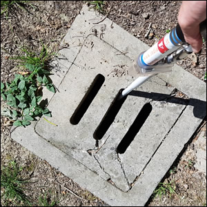 Aggiornamento sulla marcatura tramite GPS nei trattamenti antilarvali pubblici contro la Zanzara Tigre in Emilia-Romagna