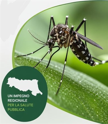 Approvato il Piano Regionale Arbovirosi 2026 per la Sorveglianza e il Controllo delle malattie trasmesse da insetti vettori