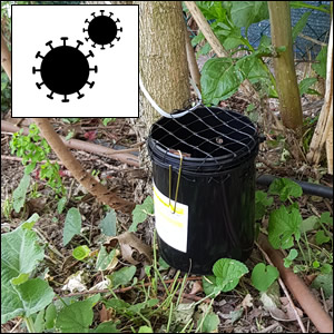 Analisi del rischio epidemico da arbovirus importati nel 2022 in Emilia-Romagna