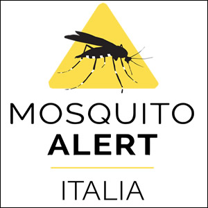 Estate, tornano le zanzare: i cittadini al fianco dei ricercatori nel tracciamento delle zanzare con l’app Mosquito Alert