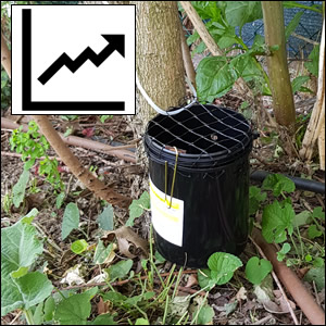 Dati riassuntivi del monitoraggio regionale di Aedes albopictus (stagione 2025)