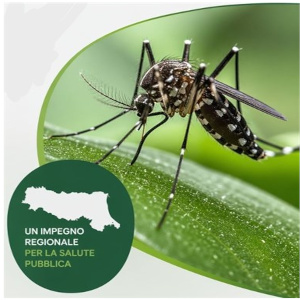 Approvato il Piano Regionale Arbovirosi 2026 per la Sorveglianza e il Controllo delle malattie trasmesse da insetti vettori